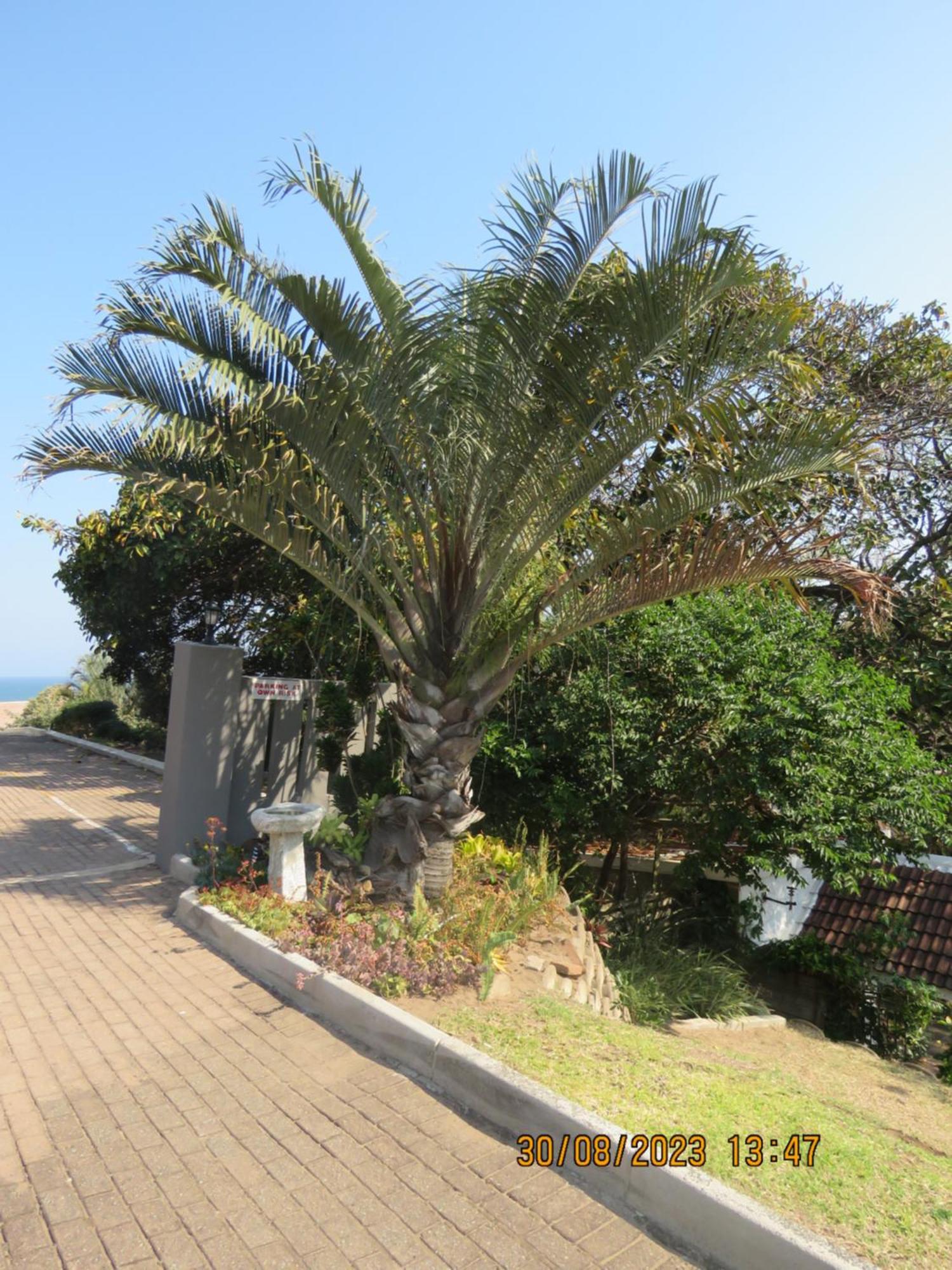 Beachcomber Bay Guest House In South Africa Margate Exterior foto